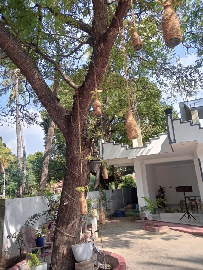 Green Star Villa Jaffna Bilik gambar